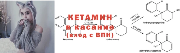 гашик Краснослободск